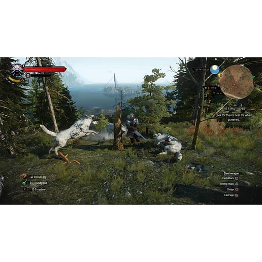 Witcher 3 Wild Hunt GOTY PS4