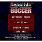 Sensible Soccer European Champions Super Nintendo SNES (Begagnad, Endast kassett)