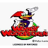 Woody Woodpecker Escape from Buzz Buzzard Park Gameboy Color (Begagnad, Endast kassett)
