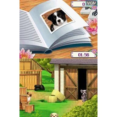 I Love Dogs my cute Nintendo DS (Begagnad)