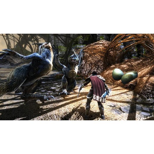 Kingdoms of Amalur Re-Reckoning PC