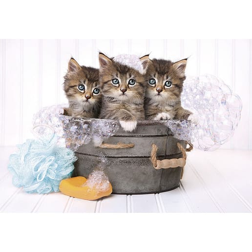 Lovely Kittens pussel 180 bitar