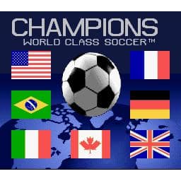 Champions World Class Soccer Super Nintendo SNES (Begagnad, Endast kassett)