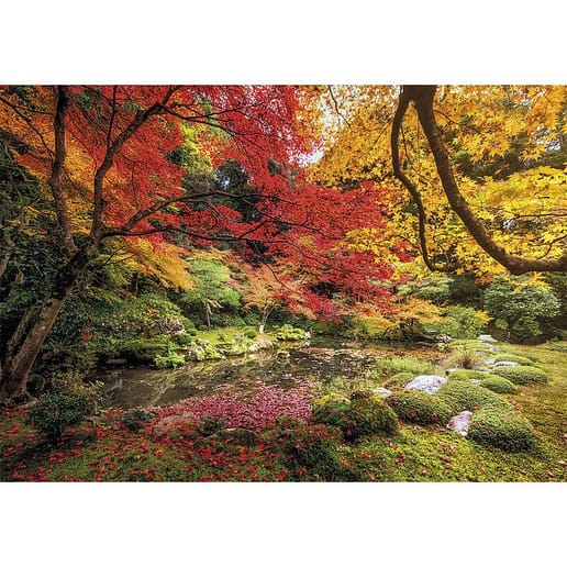 Autumn Park pussel 1500 bitar