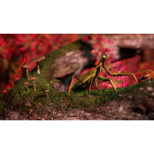 Away the Survival Series Playstation 5