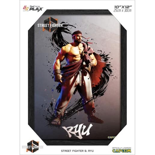Pixel Frames Plax Street Fighter 6: Ryu
