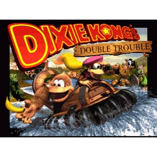 Donkey Kong Country 3 Dixie Kongs Double Trouble Super Nintendo SNES (Begagnad, Endast kassett)